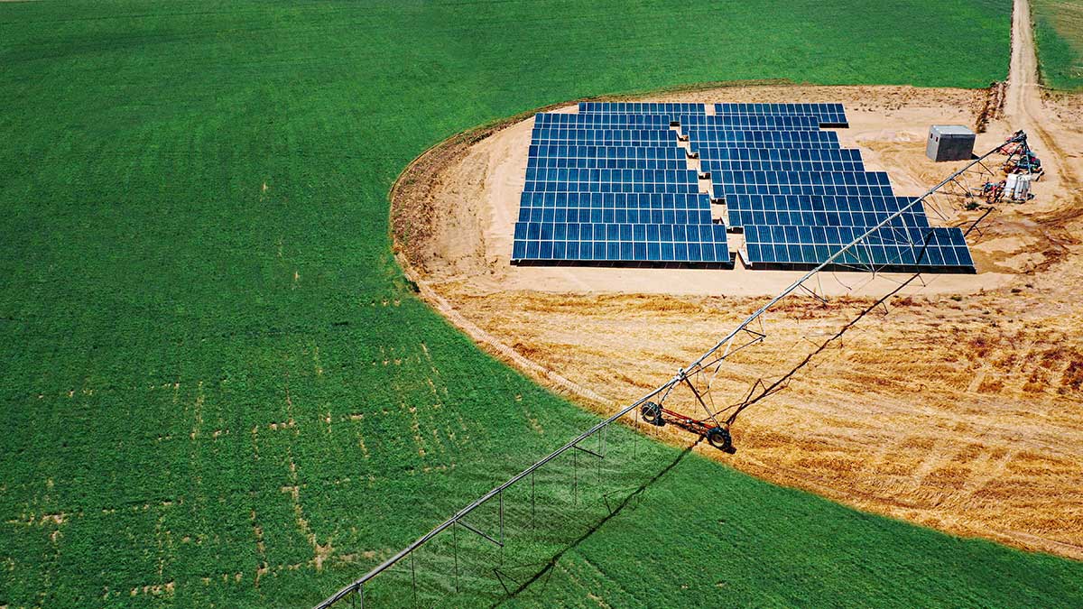 المضخة الشمسية الزراعية - شركة الوطنية الدواجن